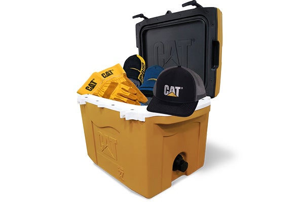 Cat Swag