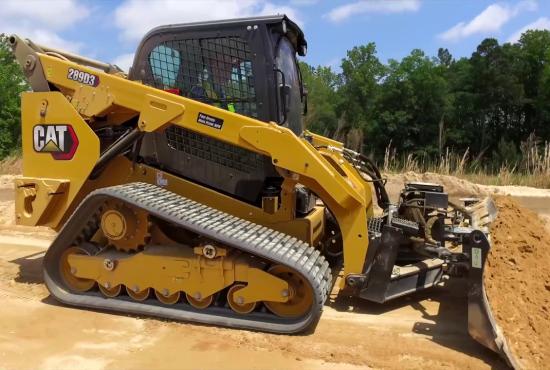 299d3 Peterson Cat