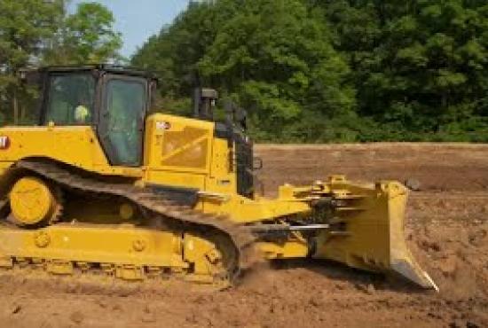 D6 Peterson Cat