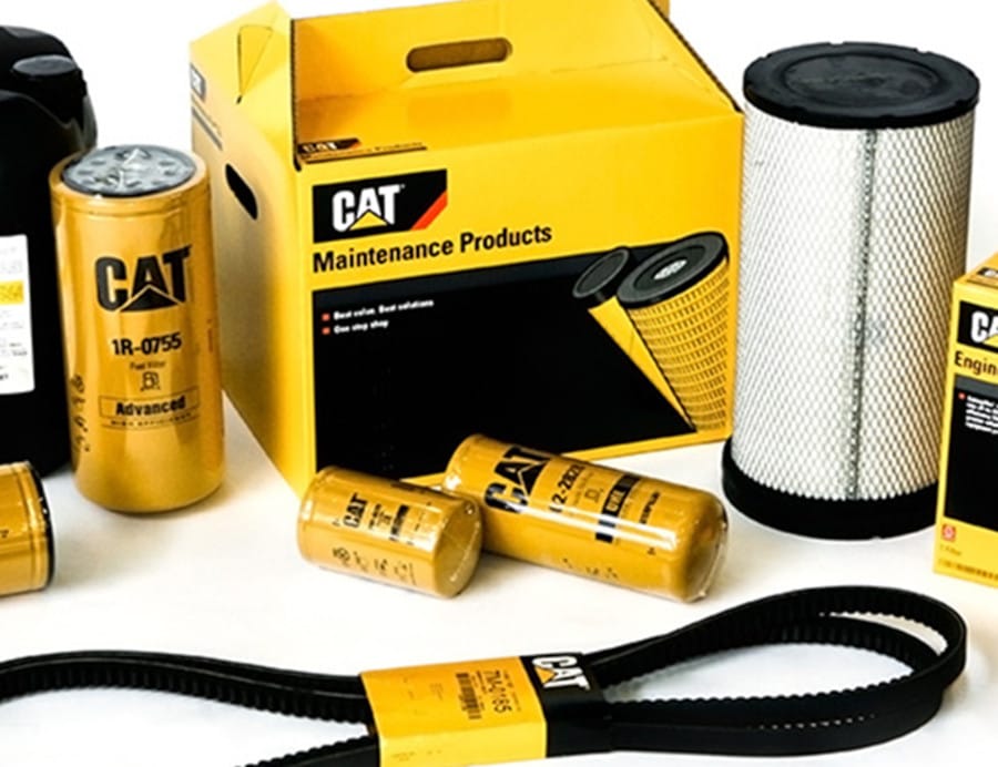 more cat parts