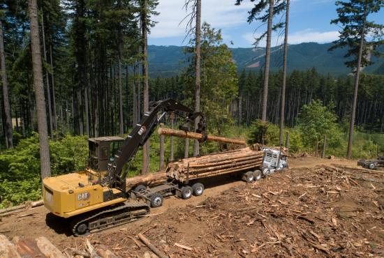 With 30% more swing torque than the previous series machine, the Cat FM548 can move timber quickly and efficiently.