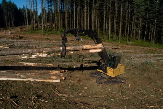 With increased engine power, swing power, and travel power, the Cat FM568 can move big timber quickly and efficiently.