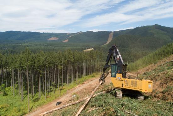 The Cat FM548 can shovel logs, build roads, load trucks, and so much more.