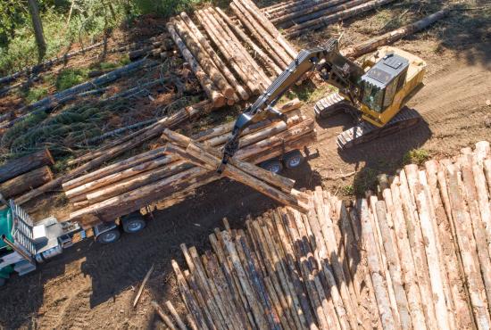 The Cat FM558 can shovel logs, load trucks, build roads, and so much more.