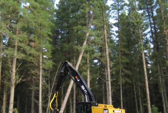 552 Series 2 Track Feller Buncher