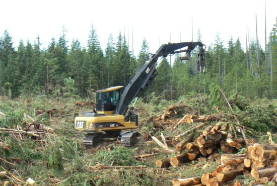 324D FM Forest Machines
