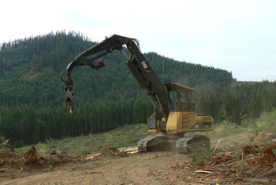 325D FM  Forest Machines