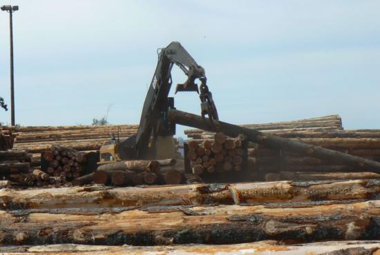 325D FM  Forest Machines