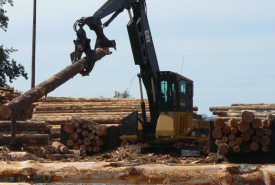 325D FM  Forest Machines