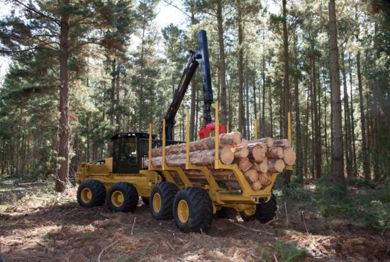 584HD Forwarder