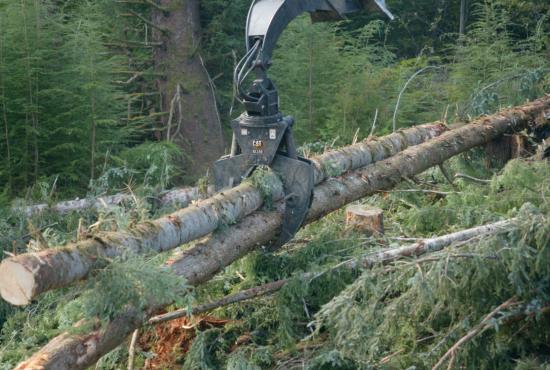 Grapple moving logs