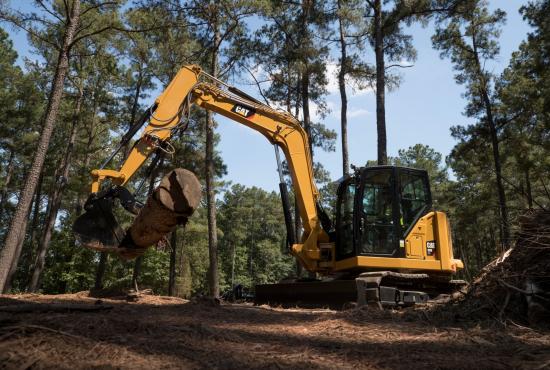 308 CR | Peterson Cat