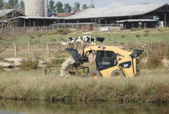 Utility Grapple Forks Application Photo