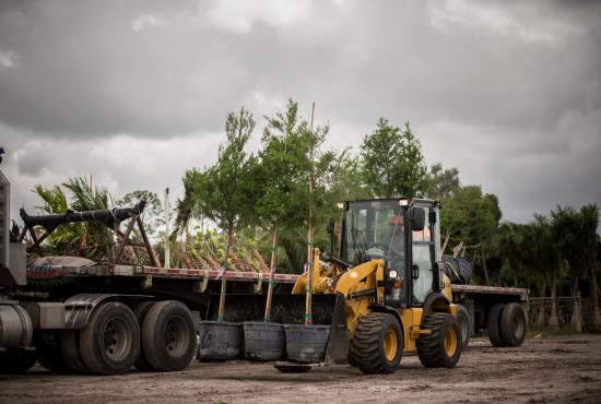 Landscaping | 903D