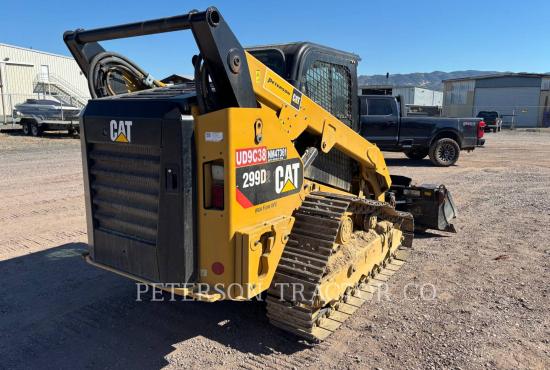 2019 CAT 299D2