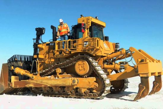 D10T2 | Peterson Cat